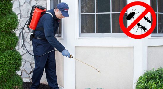 Koçarlı Kene İlaçlama böcek ilaçlama ve haşere kontrolü — ilaclama-tr.com